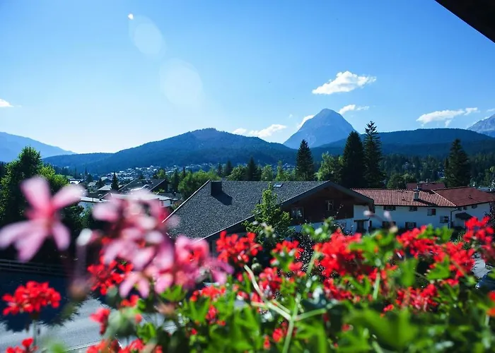 森林之家公寓 *